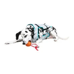 Suitical DRY Cooling Vest -Tierfreunde Günstiges Geschäft suitical dry cooling vest 149882 0500 none