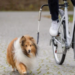 Trixie Biker-Set -Tierfreunde Günstiges Geschäft trixie fiets set 178264 0500 none