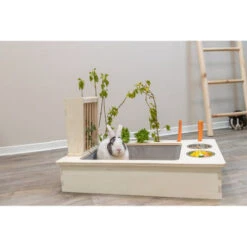 Trixie Futterstation Für Nager -Tierfreunde Günstiges Geschäft trixie voederstation voor knaagdieren 207428 0500 none