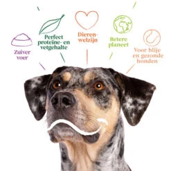 Yarrah - Bio Trockenfutter Vega Getreidefrei 7 Yarrah - Bio Trockenfutter Vega Getreidefrei -Tierfreunde Günstiges Geschäft yarrah bio droogvoer hond vega graanvrij 201212 0500 none