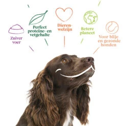 Yarrah - Hundefutter In Soße Vega Mit Hagebutten Bio -Tierfreunde Günstiges Geschäft yarrah bio natvoer hond kuipje chunks vega 200843 0500 none