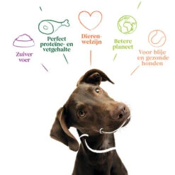 Yarrah - Getreidefreies Trockenfutter Bio 7 Yarrah - Getreidefreies Trockenfutter Bio -Tierfreunde Günstiges Geschäft yarrah droogvoer hond graanvrij bio 201170 0500 none