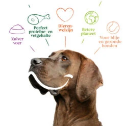 Yarrah - Trockenfutter Sensitiv Mit Huhn Und Reis Bio -Tierfreunde Günstiges Geschäft yarrah droogvoer hond sensitive bio 199148 0500 none