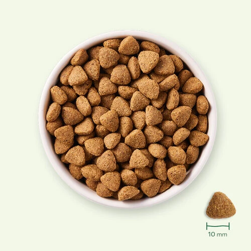 Yarrah - Trockenfutter Vegetarisch Bio 2 Yarrah - Trockenfutter Vegetarisch Bio – Bild 2