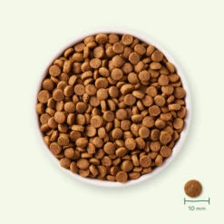 Yarrah - Trockenfutter Für Welpen Mit Huhn Bio -Tierfreunde Günstiges Geschäft yarrah droogvoer puppy bio 199694 0500 none