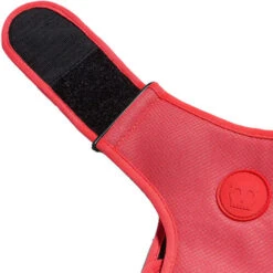 Zee.Dog Adjustable Air Mesh Harness -Tierfreunde Günstiges Geschäft zeedog adjustable air mesh harness 215576 0500 none