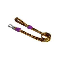 Zee.Dog Dog Leash -Tierfreunde Günstiges Geschäft zeedog dog leash 201476 0500 none