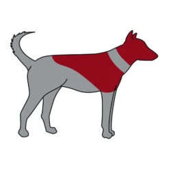 ZenPet Pro Collar -Tierfreunde Günstiges Geschäft zenpet pro collar 193865 0500 none