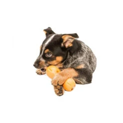 Zogoflex Qwizl -Tierfreunde Günstiges Geschäft zogoflex qwizl 136852 0500 none