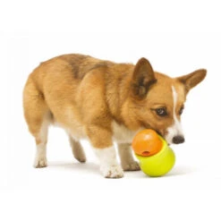 Zogoflex Toppl - Treat Toy -Tierfreunde Günstiges Geschäft zogoflex toppl treat toy 219464 0500 none